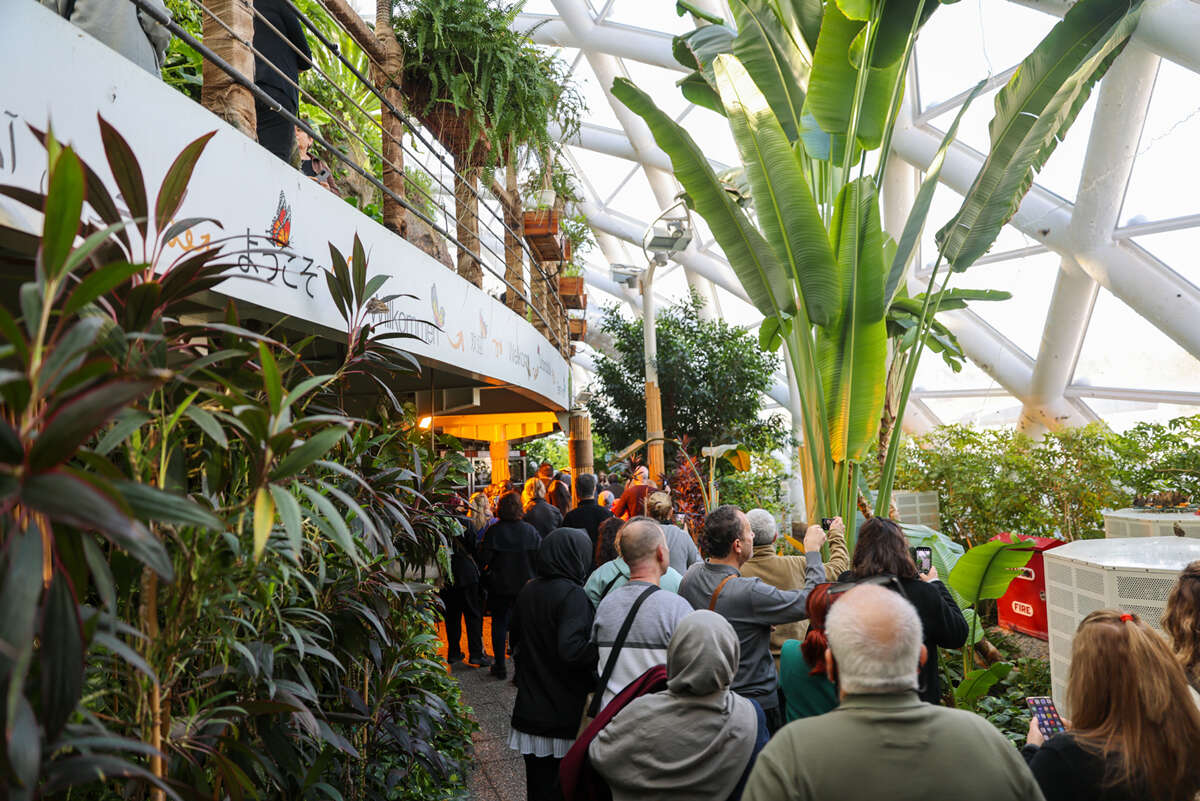 Selçuklu’nun sembolleri 10 günde rekora koştu 14